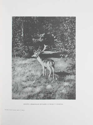 Карцов Г. Беловежская Пуща. Ее исторический очерк, современное охотничье хозяйство и высочайшие охоты в Пуще. Воспроизведение издания Артистического заведения А.Ф. Маркса 1903 г. / Ил. худож. М.А. Зичи, К.Я. Крыжицким, Н.С. Самокишем и др. М.: Терра, 2003.